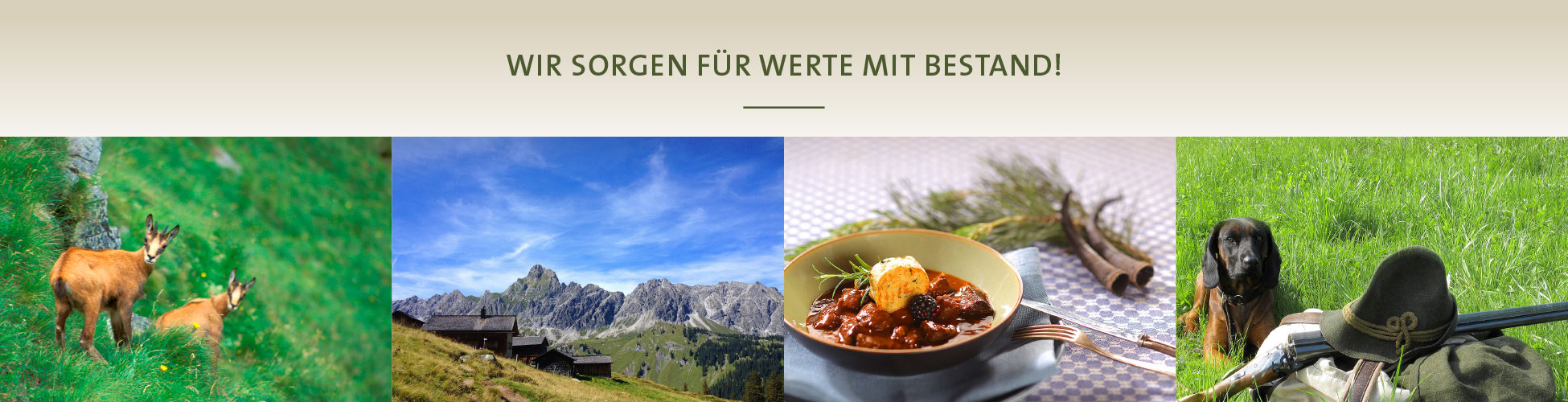 Web-Slider_alle_Jagd_Oe_mit_Titel_1950x500-2_web