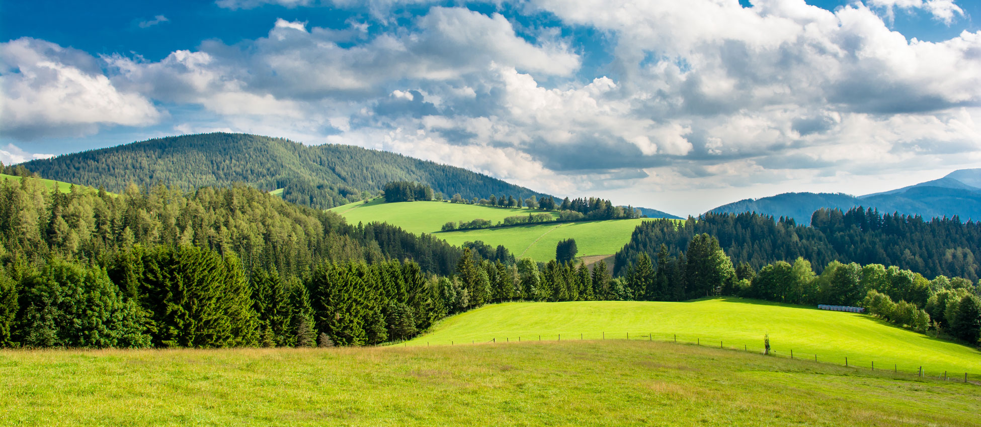 Jagd Österreich, Kompetenzen - Lebensraum