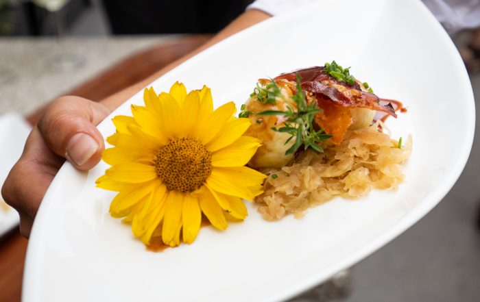 Wildbret-Gericht: Genussplattform fuer Wildfleisch - Wildes Oesterreich