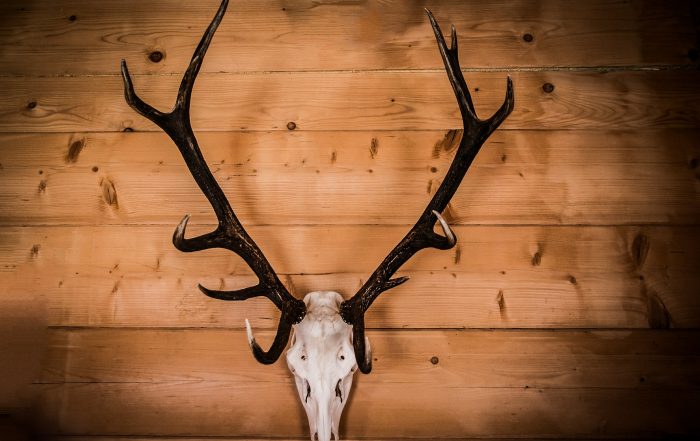 Trophäe - Bleichmittel Wasserstoffperoxid