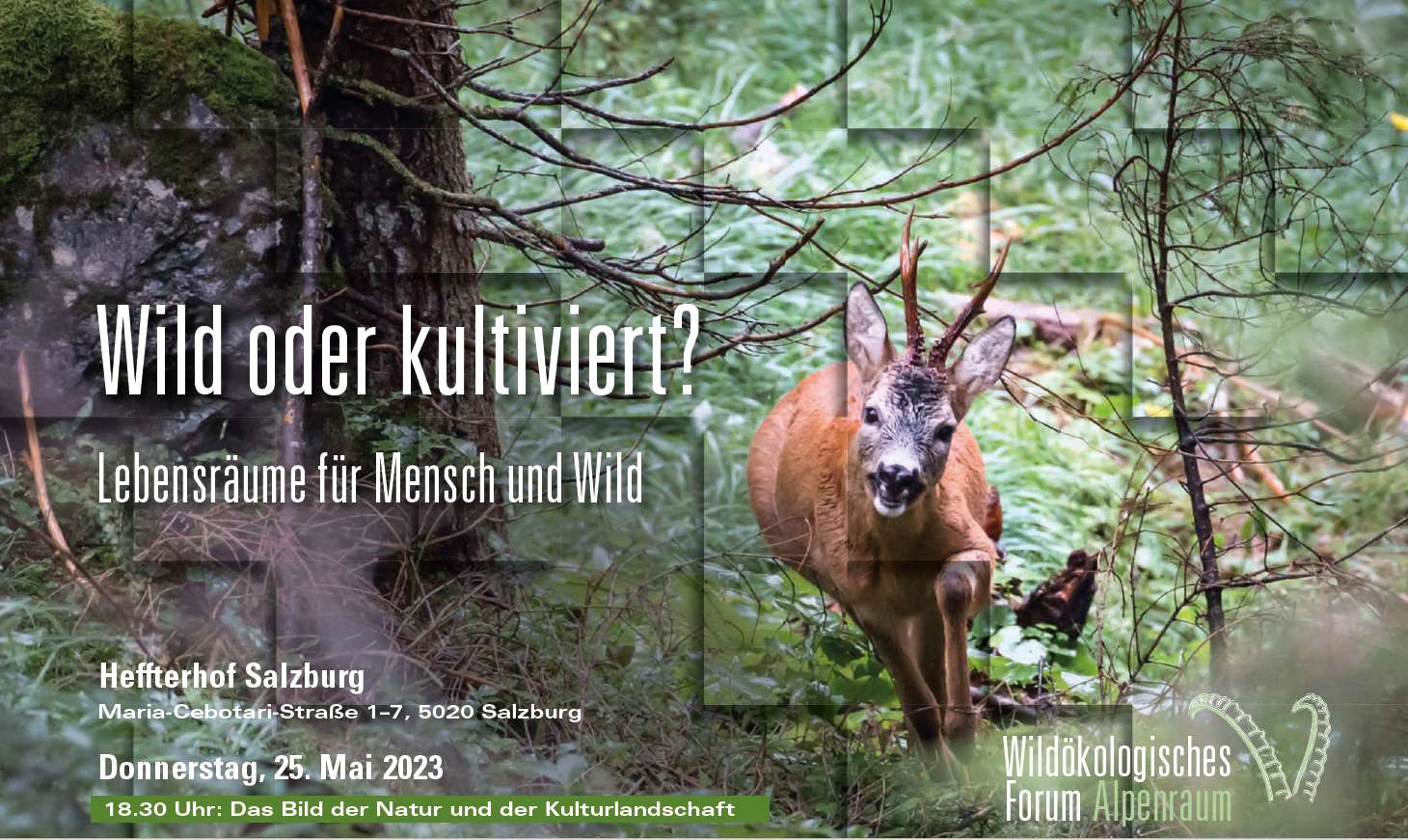 Einladung Wildökologisches Forum