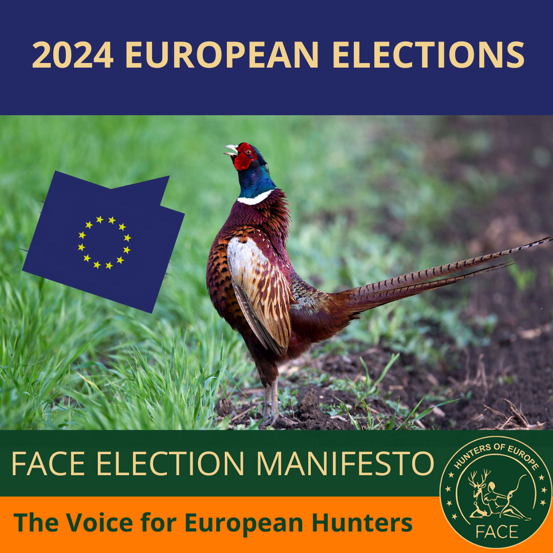 FACE Manifesto 2024, Europawahl 2024
