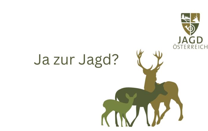 Umfrage zur Jagd: Hohe Akzeptanz für Jagd in Österreich - Jagd Österreich informiert