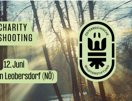 Charity Shooting Österreichische Wildtierstiftung
