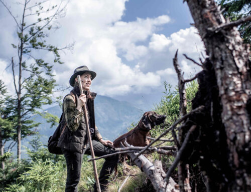 Jahresbericht Jagd Österreich 2025