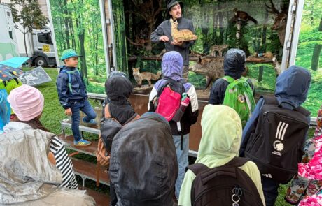 Die Jagd Burgenland war mit dem Wildtieranhänger der "Werkstatt Natur" beim ernte.dank.festival 2026 vertreten. (c) M. Landbauer